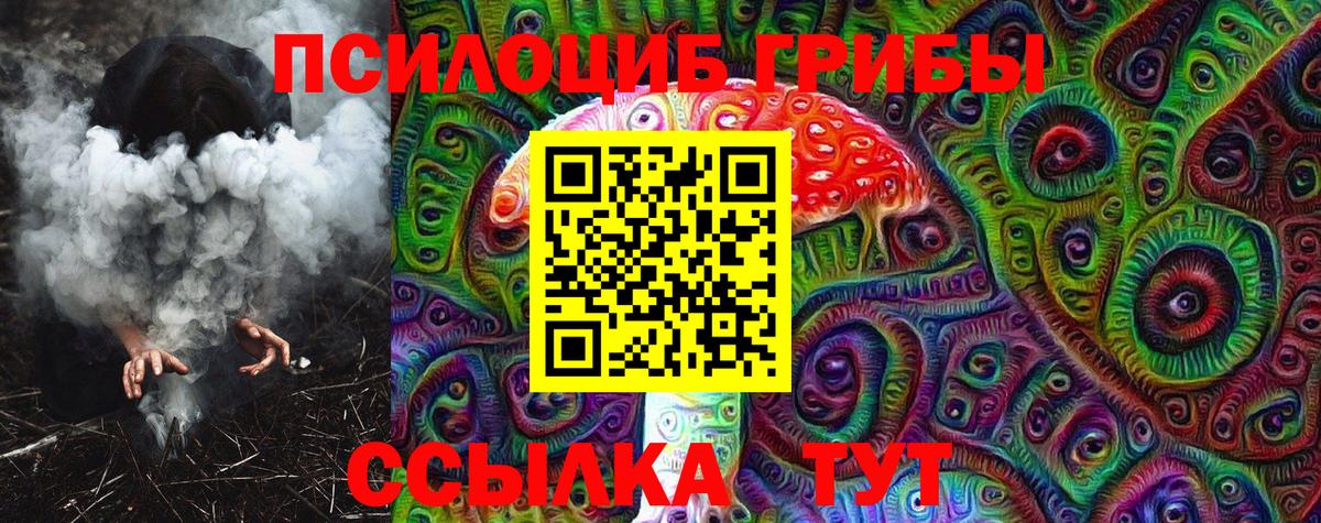 Псилоцибиновые грибы GOLDEN TEACHER Фрязино